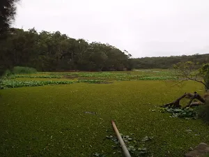 yeramba lagoon