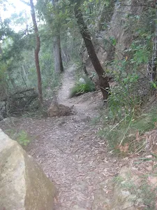 Heading around the hill