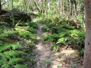 Morella Rd Track
