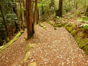 Track with steps down to the small waterfall near the Pines campsite in the Watagans