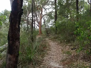 take in the surroundings