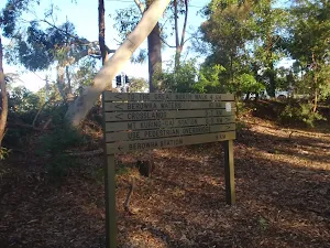 Sign at Mt Ku-ring-gai track head