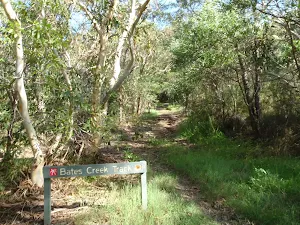 Bates Creek Track
