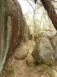 Rock wall near Quarter Sessions Road