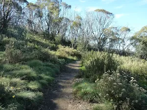 Walking track west of golf Course