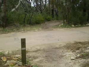 Intersection at Glendale Rd