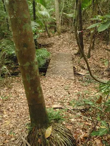 Small bridge on track 