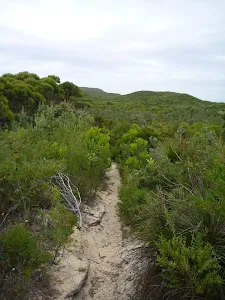 Awabakal Nature Reserve