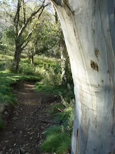 Riverside and Golf Course Walk