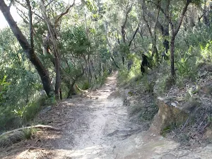 Neates Glen track
