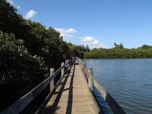 Salt Pan Creek boardwalks