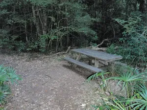Palona Brook Picnic area