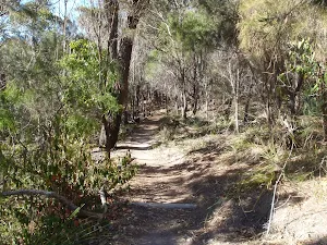 Track south of Kianiny lookout