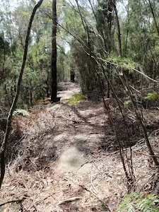 Highway Ridge track