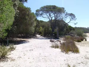 Track away from Hobart Beach to camping area