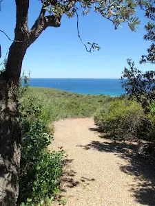 Ocean Views from near Wybung Head Rd on the Geebung Track