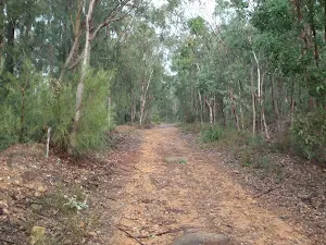 Trail below Lapstone Station