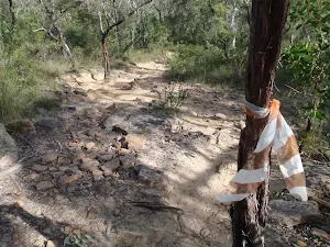 Rocky track popular with Mt Bikers