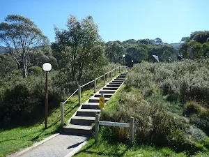 Heading up steps to Merrits Nature Track