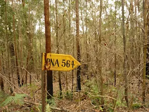 Old yellow sign near Abbotts Falls in the Watagans