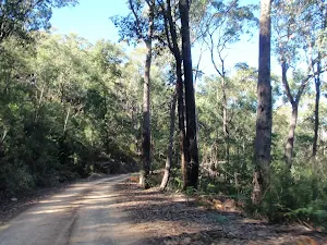Winding along the WCT