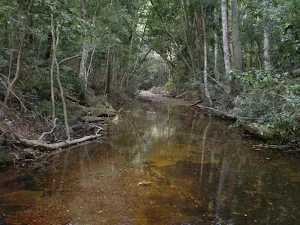 Bola Creek