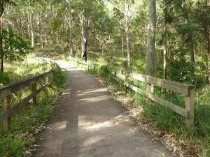 Eucalypt forest Green Point Reserve