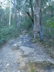 Track down from Evans Lookout