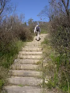 Track bellow Barrows Lookout