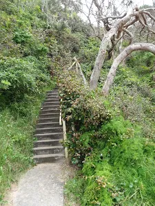 Stairsto Castle Rock Beach