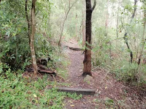 The track between the houses and creek