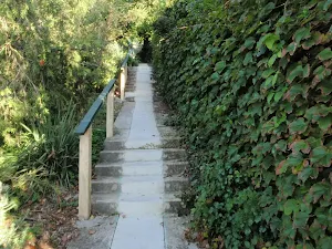 Walking mainly on footpaths through Mosman