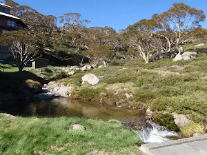spencers creek