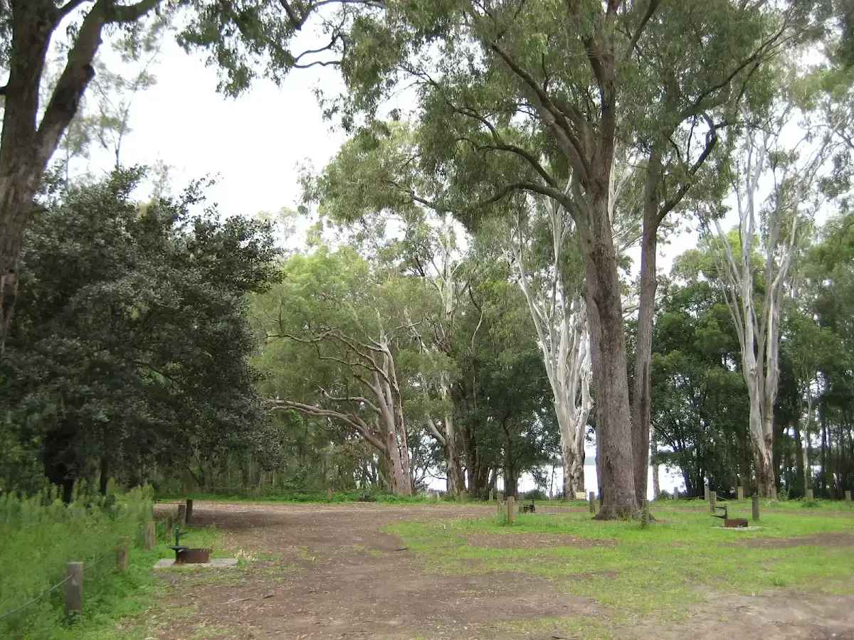 Korsmans Landing campground