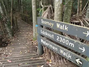 Intersection of Toomey and waterman walks