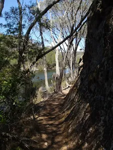 Track above Sandy Beach Creek