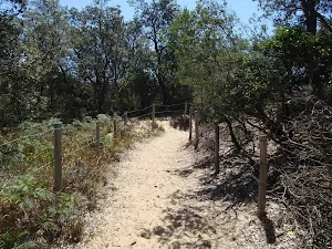 Fence along top of dunes