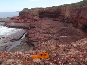 Red Cliffs