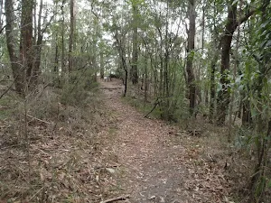 Toomey walk