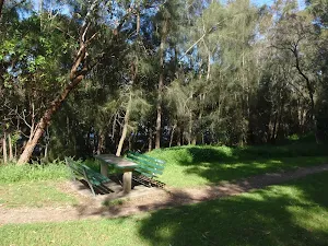 Salt Pan Creek picnic area