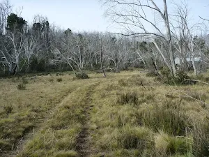 Trail leading to Paton's Hut