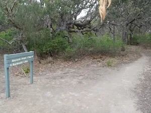Signpost along the track