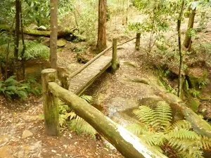 Timber footbridge and railing at the dammed pool in the Watagans