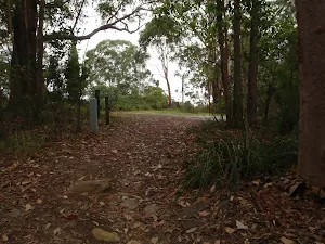 Mouat Walk opening up to the St Johns Lookout Picnic area