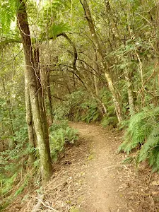 Walking along the old tram way