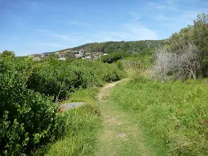 Track near Caves Beach Lookout