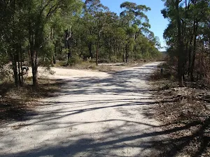 Int of Finchs Line and OGNR