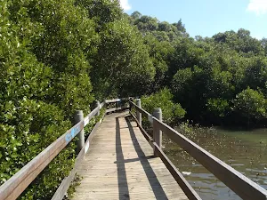 salt pan creek boardwalk