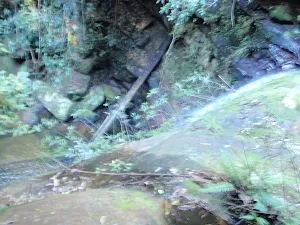 Abbotts Falls