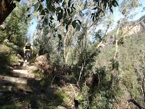 Stairs on Pierces Pass Track